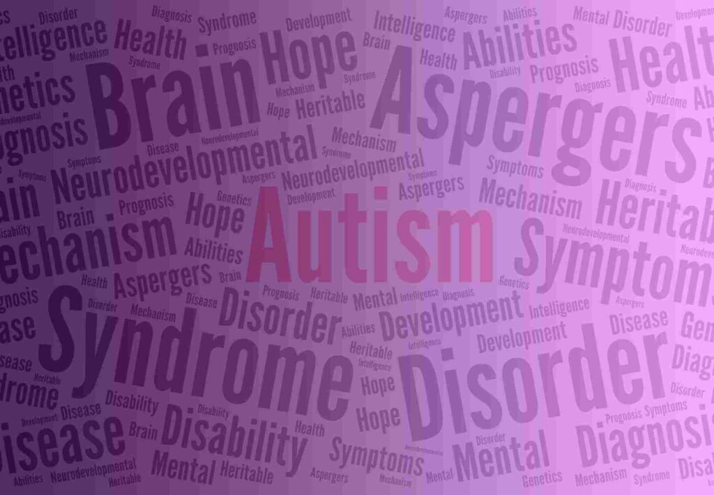wordcloud related to autism