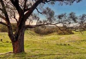 Unwind in breath taking beauty