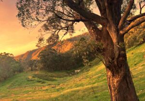 a photo of a winter sunset at High View Farm